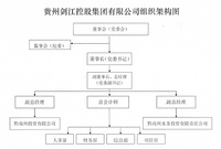 贵州剑江控股集团有限公司组织架构图
